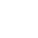 chart icon